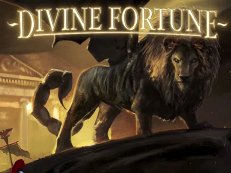 divine fortune gokkast