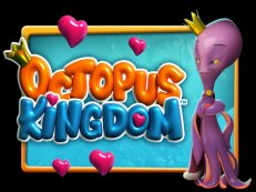 octopus kingdom