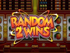 random 2 wins gokkast