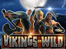 vikings go wild gokkast