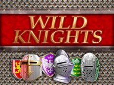 wild knights