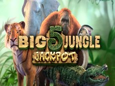 big 5 jungle jackpot