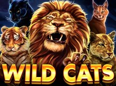 Wild Cats Multiline