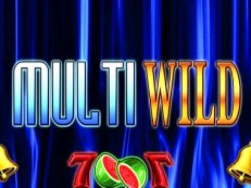 Multi Wild gokkast